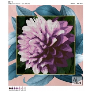 Floare Gheorghină АА3-0019