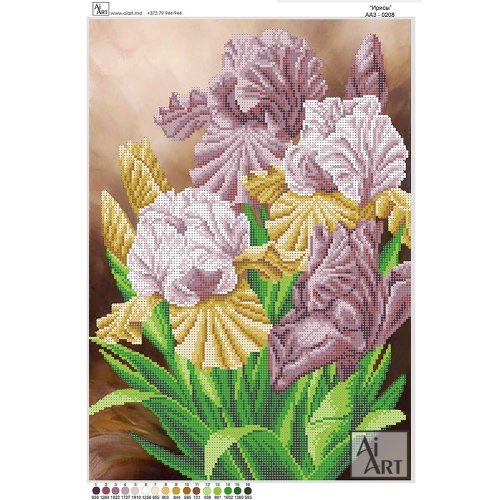 Flori de Iris АА3-0208